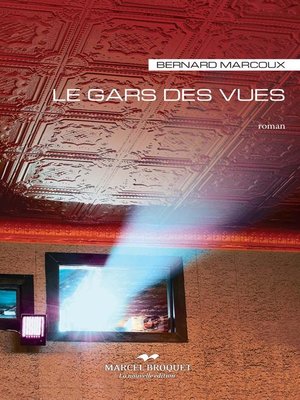 cover image of Le gars des vues